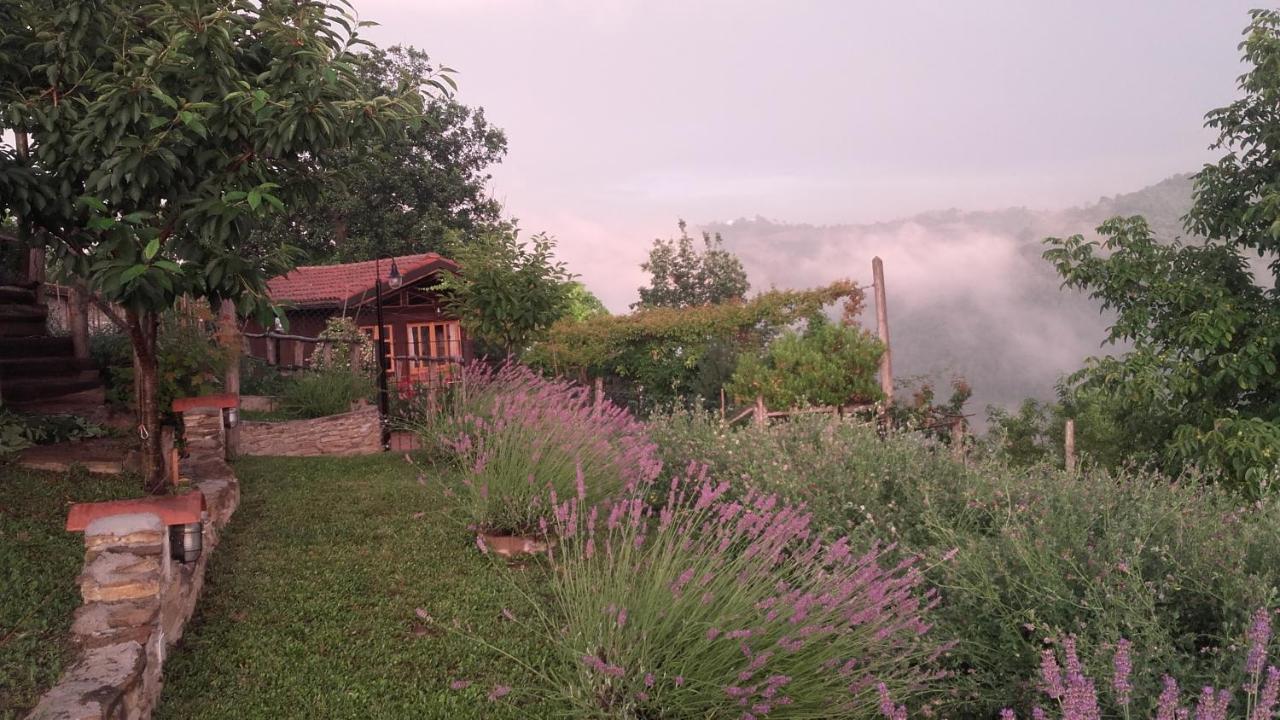 Bed and Breakfast Magiche Langhe à Paroldo Extérieur photo